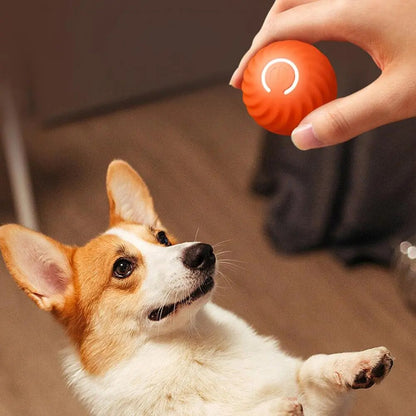 Automatic Moving Rubber Ball for Pets